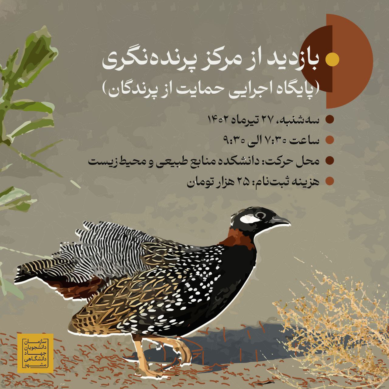 5882183962615463396 (2)