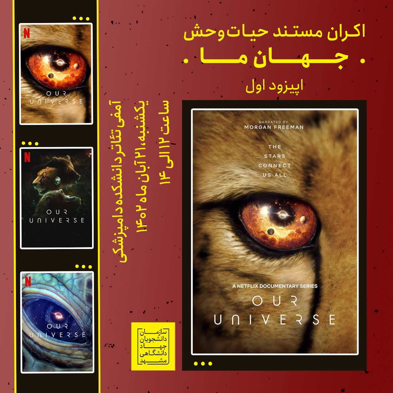 5944803340250628500 (1)