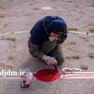 به رنگ شادی (4)