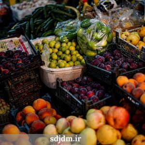 گردش سفر درمعنا (16)